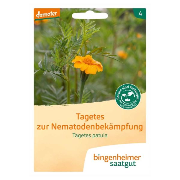 Tagetes zur Nematodenbekämpfung