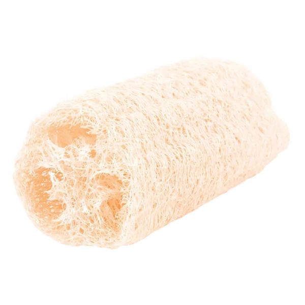 Luffa-Schamm