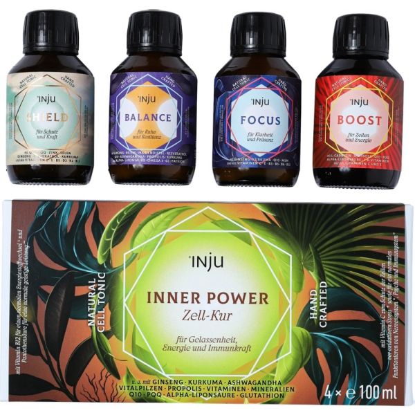 Inner Power Kur 4x100ml