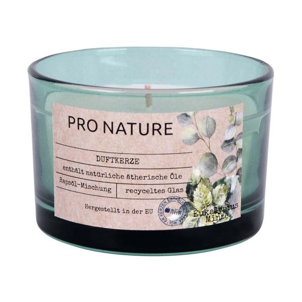 Pro Nature Duftkerze - 58x86mm Eukalyptus-Minze