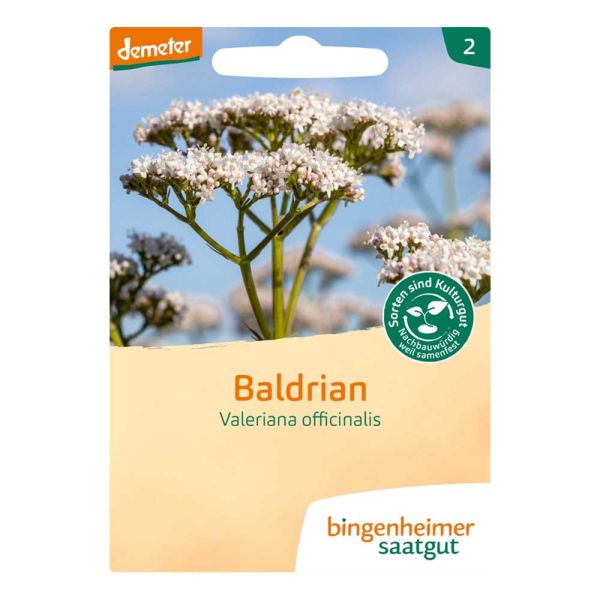 Baldrian - Valeriana officinalis