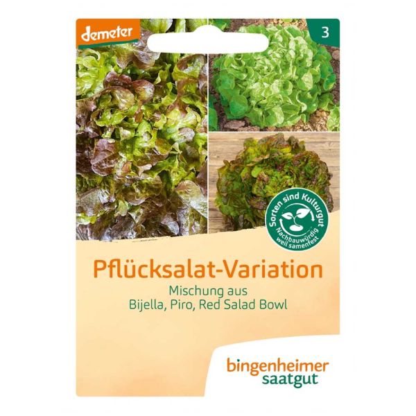 Pflücksalat-Variation