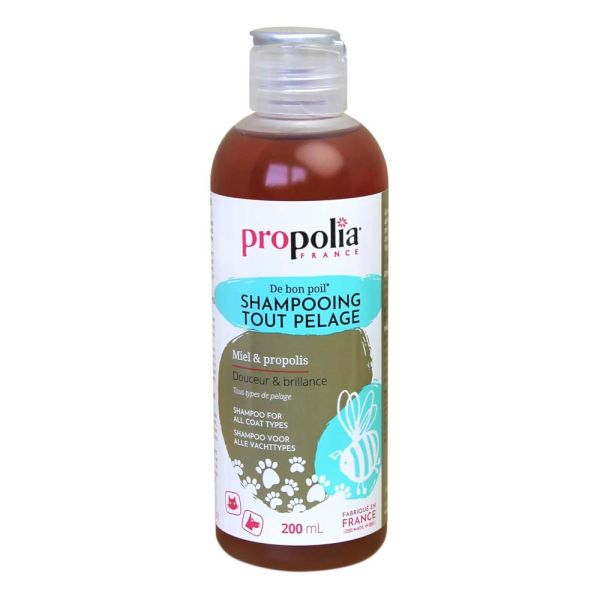 Propolis-Honig - All-Fell Shampoo